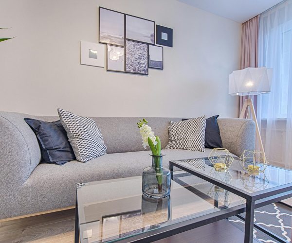 Contemporary living room featuring a gray sofa, geometric decor, and framed art.